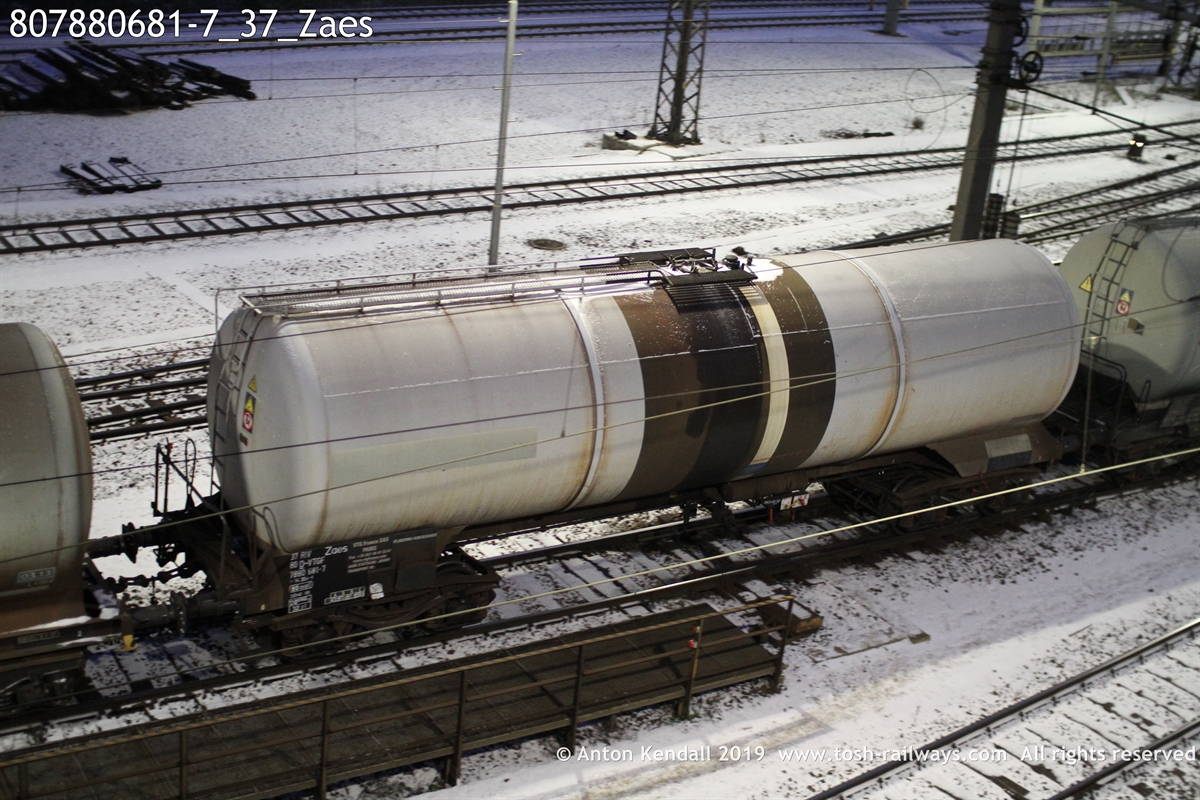807880681-7_37_Zaes.JPG